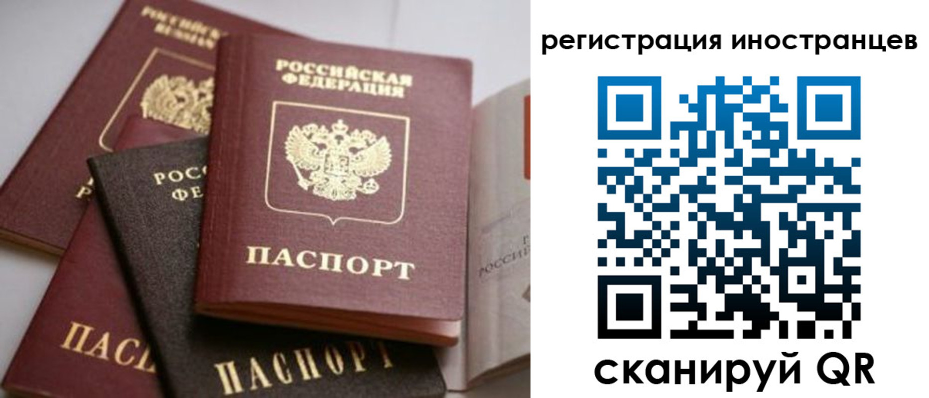 форма 3 в Боровичах